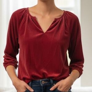 Rust Velvety Velour Old Navy V-Neck Puff Sleeve Top Blouse XS Drapey Bohemian